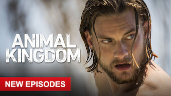 shows similar to animal kingdom on netflix